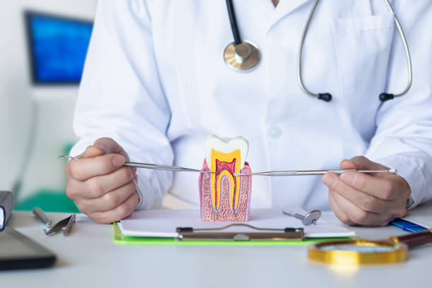 Best Knocked-Out Tooth Emergency  in Aristocrat Ranchettes, CO
